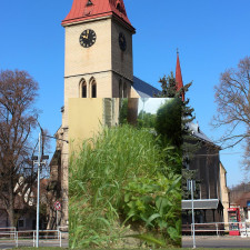 Milovice nyní tak trochu připomínají džungli