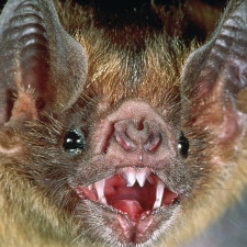 Padrťské rybníky patří k nejkrásnějším místům ve středočeských Brdech