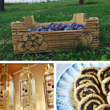 Úroda v Česku patří letos k jedněm z největších, co vše je možné udělat z jednotlivého ovoce?