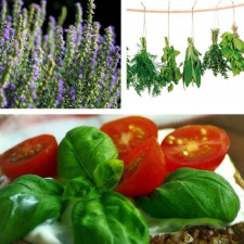 Nepotřebujete zahrádku! Na pěstování bylinek doma není nic složitého