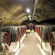 Žarnosecké víno patří vůbec mezi nejznámější nejen v Čechách, ale i v zahraničí