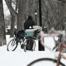 Letošní mrazy si už vyžádaly krutou daň