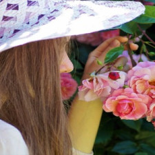 Šípek by neměl být spojován pouze se šípkovým čajem