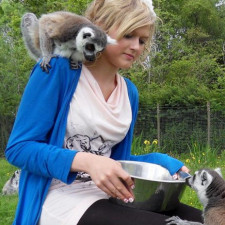 Hosty při józe prý přítomnost lemurů těší