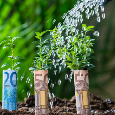 Zaplevelený záhon znamená, že se zelenina nebo květiny musejí o vodu dělit