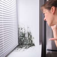 S opětovným vznikem plísně na zdi vám pomůže mimo jiné i ústní voda