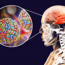 K rozvoji závažnějších symptomů západonilské horečky jsou mnohem náchylnější lidé s oslabeným imunitním systémem