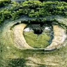 Jak jste na tom, co o vás obrázek prozradil?