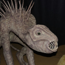 Čupakabra má mít zbarvení šedé, pestré, případně proměnlivé jako u chameleona