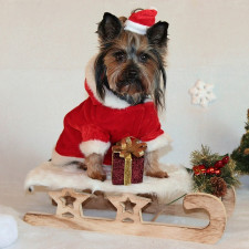 Pro fotku udělají mnozí až příliš