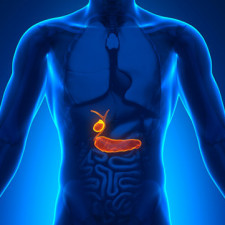 Vůbec nejčastějším onemocněním žlučníku jsou žlučníkové kameny
