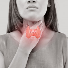 Štítnou žlázu tvoří dva laloky (lobus dexter et sinister) tvaru trojboké pyramidy spojené istmem