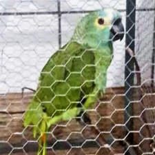 Papoušek získal od dealerů speciální výcvik