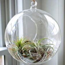 I takhle může vypadat zahrádka. Vejde se i do nejmenšího bytu a vypadá nádherně