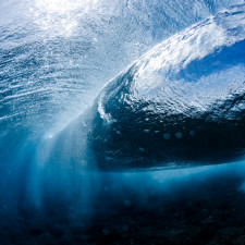 Podle muže, který se údajně vrátil z budoucnosti bychom si měli dát pozor na oceány a tvory, kteří žijí v jejich hlubinách