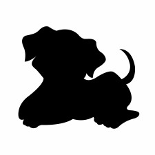 Nejošklivější pes na světě, Pan šťastlivec, se podobá spíše hyeně nebo paviánovi