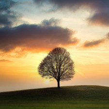 Václav Matoušek byl malířem a hlavně záhadným poustevníkem